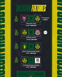 Image result for Babraham Cricket Club