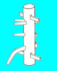 Image result for Windsor WingTsun Kung fu