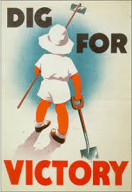 images?q=tbn:ANd9GcSS8ltIDOKqv9jRkOV9-E_rZSsWOrP_zbNBvOt9pR8iW6x_pcf9