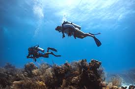 Image result for World Divers