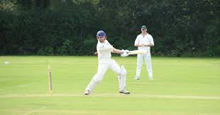 Image result for Dinas Powys Cricket Club