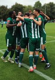 Image result for Leatherhead Football Club