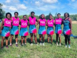 Image result for Lawn Netball Club