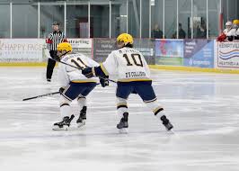 Image result for Winchester Hockey Club