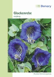 Image result for Glockenrebe