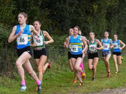 Image result for Slough Juniors Athletics Club