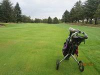 Image result for Forfar Golf Club