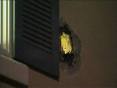 Video: “Mythbusters” cannonball misfire tears through family's ...