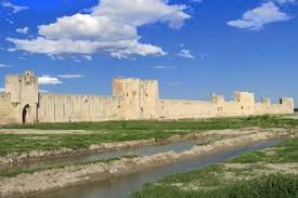 Image result for parque natural de camargue