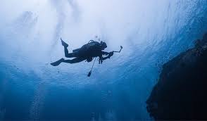 Image result for Harlow Sub-Aqua Club