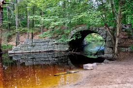 Image result for Dunstable