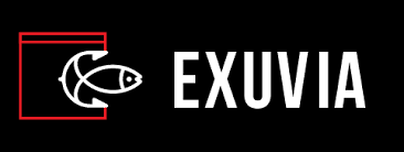 Attēlu rezultāti vaicājumam “exuvia”