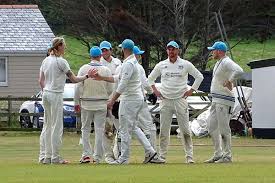 Image result for Chulmleigh & Mid Devon Cricket Club