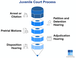 Attēlu rezultāti vaicājumam “juvenile”