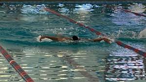 Image result for Gosport Dolphins Swimming Club