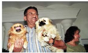 Image result for Muhammad als Rondellhund