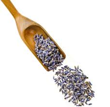 Attēlu rezultāti vaicājumam “Lavandula angustifolia bud”