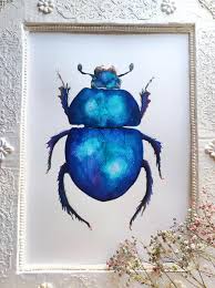 Attēlu rezultāti vaicājumam “Trypocopris vernalis”