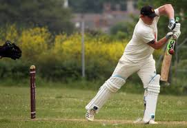 Image result for Portland Red Triangle Cricket Club