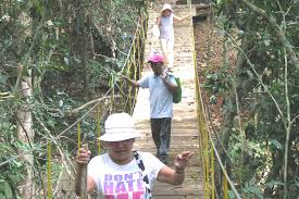 Image result for PONT DE SINGE