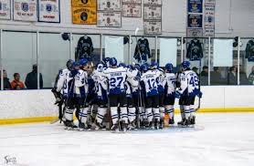 Image result for Dundee Ducks inline roller hockey club