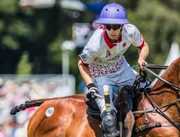 Image result for Taunton Vale Polo Club