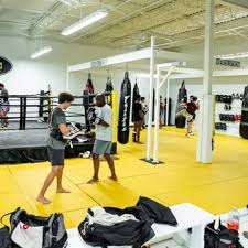 Image result for Revolution Dojo