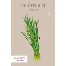 Image result for Schnittlauch