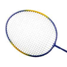 Image result for Team Racquets Badminton Club