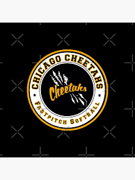 Image result for Cheetahs Softball Team