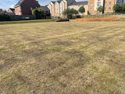 Image result for Lower Kingswood Flat Green Bowls Club
