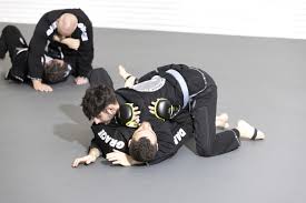Image result for Daniel Gracie Academy