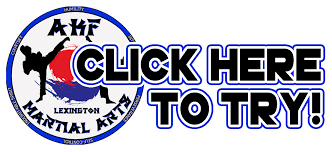 Image result for AKF Martial Arts