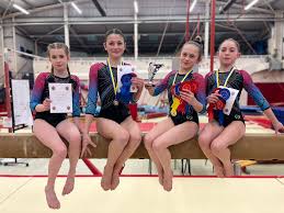Image result for Forest Of Dean Gymnastics Club