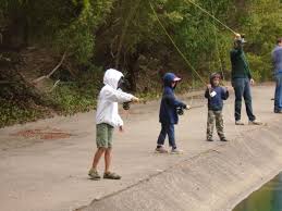 Image result for Segdoune Flyfishers` Angling Club