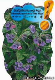 Image result for Lungenkraut