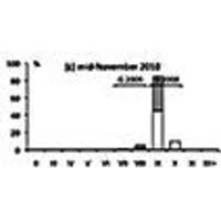 Attēlu rezultāti vaicājumam “Ommatoiulus sabulosus aimatopodus”