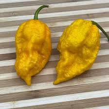 Afbeeldingsresultaat voor yellow fratali hot pepper