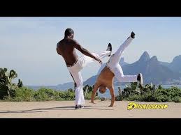 Image result for Brazilian-martial arts