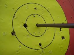 Image result for Surrey Bowmen