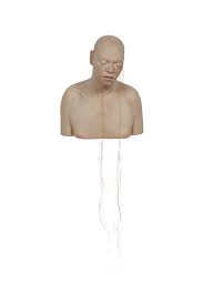 Image result for Richard Stipl