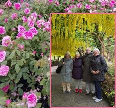 Image result for U3A/LLL Salford Wed. Scrabble Club*