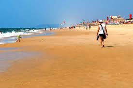 Image result for goa beaches