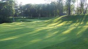 Image result for Flint Golf Club
