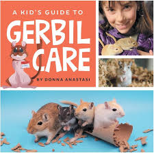 Image result for Gerbil