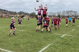 Image result for Cirencester Rugby Football Club