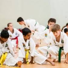 Image result for Thames Valley Karate