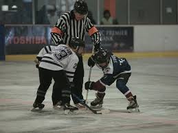 Image result for Ash Avalanche Skater Hockey Club