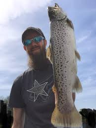 Image result for Salmo dentex