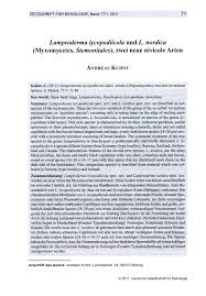 Attēlu rezultāti vaicājumam “Lamproderma debile”